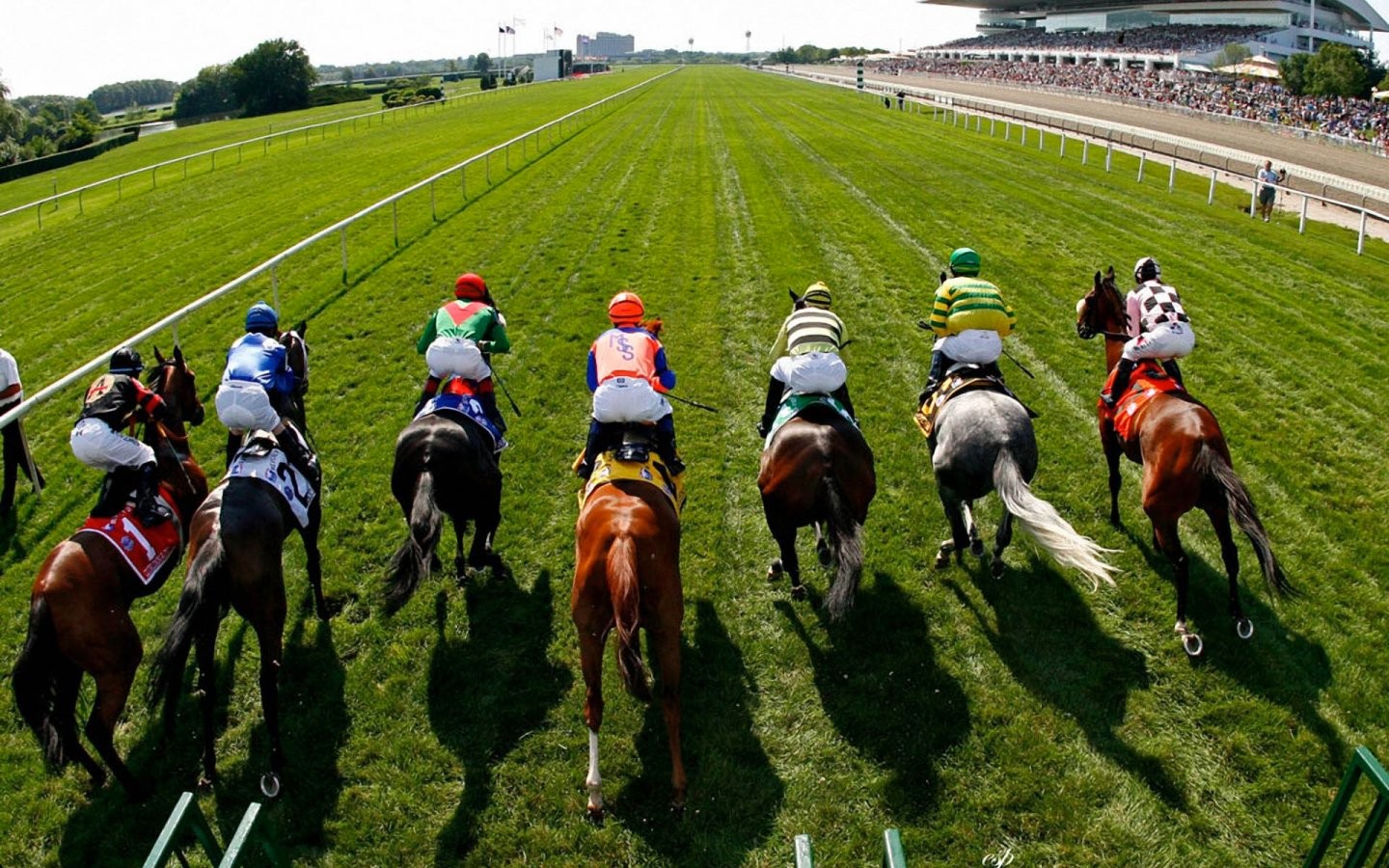 How to Bet on Horse Racing?